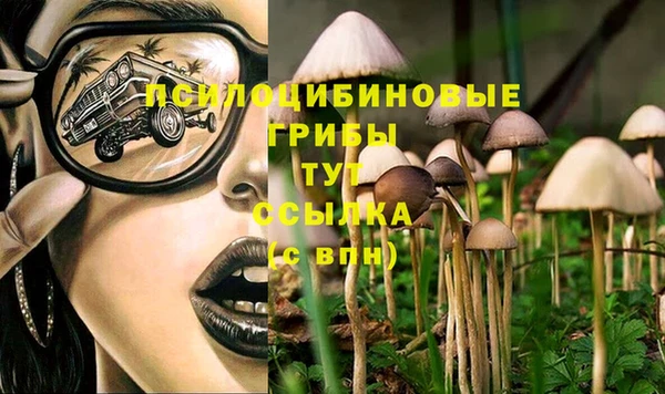 прущие грибы Абдулино