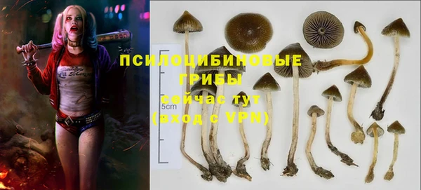 прущая мука Алексин