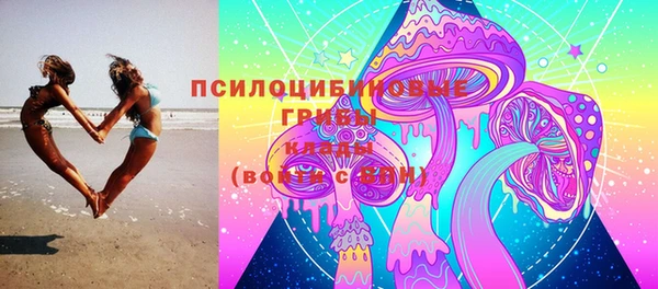 амф Алзамай