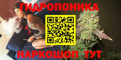 мет Бийск