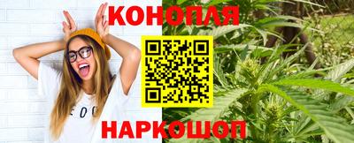Альфа ПВП Беслан