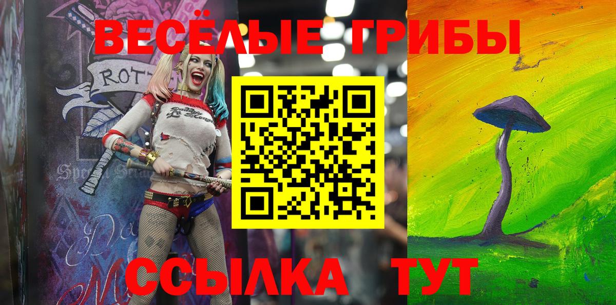 Псилоцибиновые грибы Psilocybine cubensis Богородск
