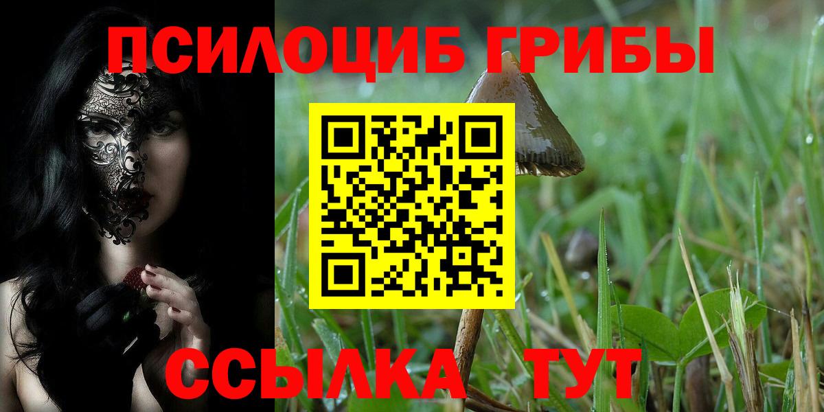 Богородск  Псилоцибиновые грибы GOLDEN TEACHER  даркнет сайт  Вход с VPN 